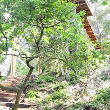 Aménagement d'un escalier en bois pour accéder à une cabane dans les arbres