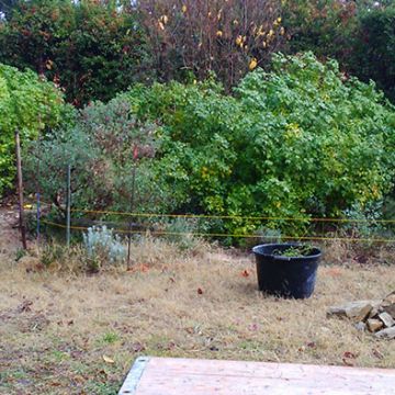 Réalisation en cours d'une bordure de jardin - Cadenet