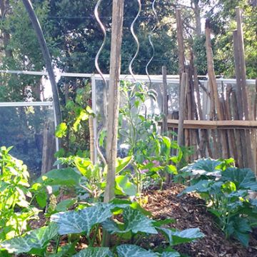 Réalisation d'un jardin potager en permaculture - Rognes