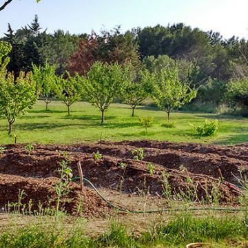 Réalisation d'un jardin potager en permaculture - Rognes