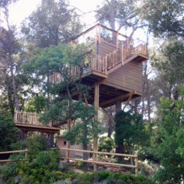 Aménagement d'un escalier en bois pour accéder à une cabane dans les arbres - Charleval