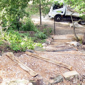 Aménagement d'un escalier en bois pour accéder à une cabane dans les arbres