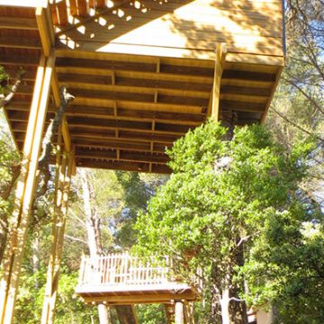 Avant l'aménagement d'un escalier en bois pour accéder à une cabane dans les arbres