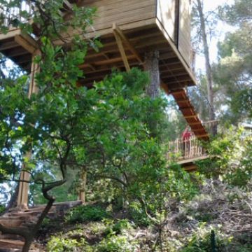 Aménagement d'un escalier en bois pour accéder à une cabane dans les arbres - Charleval