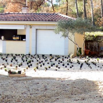 Gréasque - Pendant aménagement d'un jardin avec alternatives au gazon