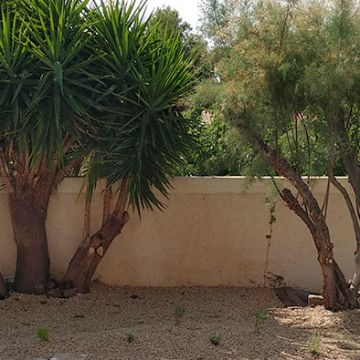 Mérindol - Après réfection d'un jardinet avec alternative au gazon sur gravier