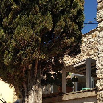 Mérindol - Pendant réfection d'un jardinet avec bordures bois autours d'un cyprès