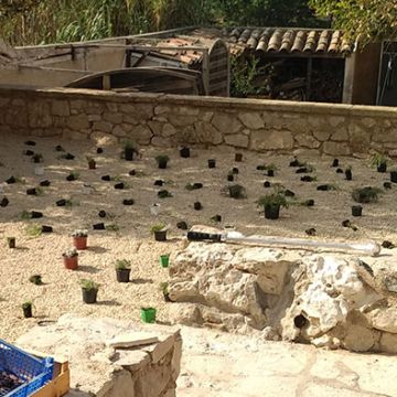 Mérindol - Pendant réfection d'un jardinet avec alternative au gazon sur gravier