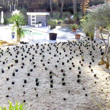 Gréasque - Pendant aménagement d'un jardin avec alternatives au gazon