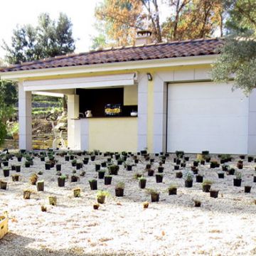 Gréasque - Pendant aménagement d'un jardin avec alternatives au gazon