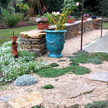 Saint-Cannat - aménagement d'un jardin avec muret de pierres sèches - 3 mois après