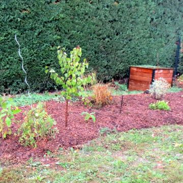 Saint-Cannat - aménagement d'un jardin avec muret de pierres sèches