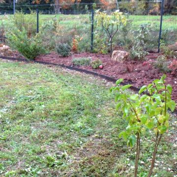 Saint-Cannat - aménagement d'un jardin avec muret de pierres sèches