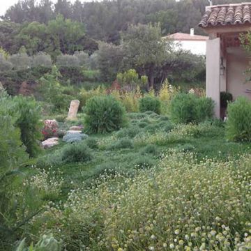 Alternatives au gazon à Cabriès