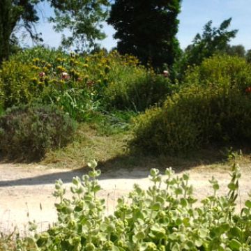 Allée de jardin méditerranéen