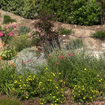 Jardin méditerranéen