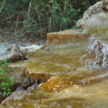 Bassin et jeux d'eau