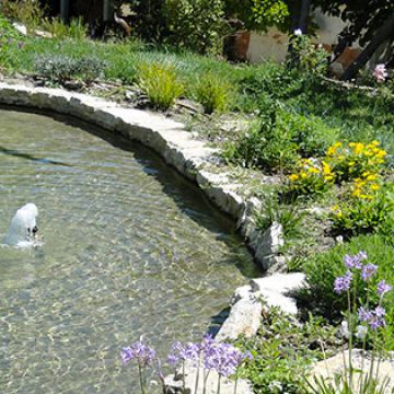 Détail bassin naturel Aix en Provence