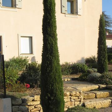 Vue générale d'un jardin à la provençale